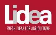 Lidea